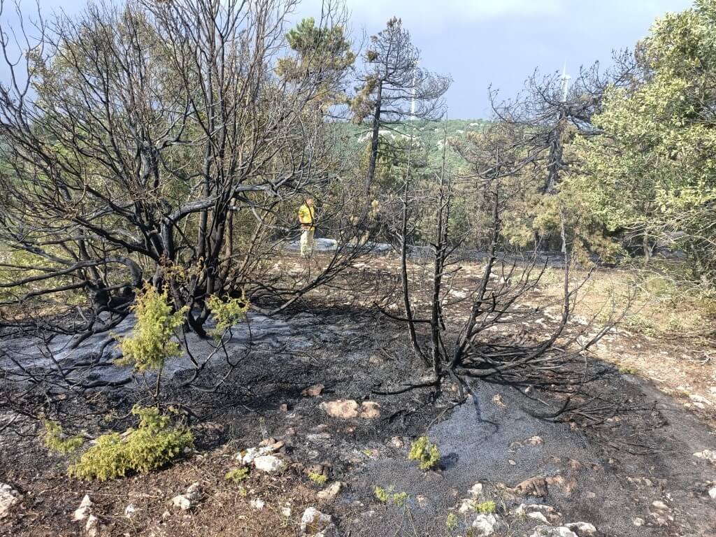 Manisa'da arazi yangınında 15 dönümlük alan zarar gördü