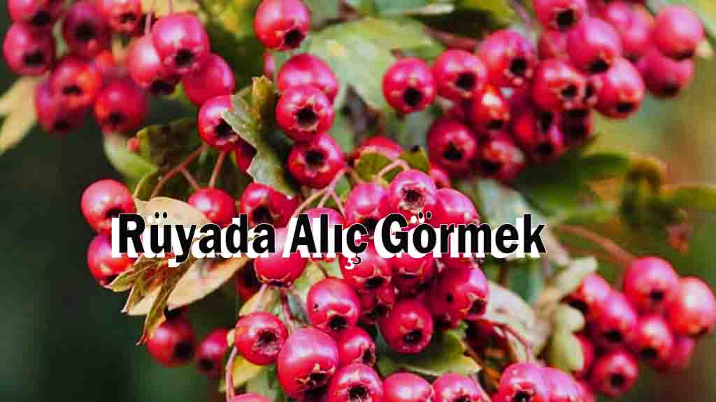 Rüyada Alıç Görmek