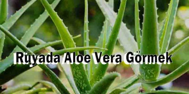 Rüyada Aloe Vera Görmek