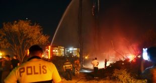 Aydın'da otluk alanda çıkan yangın vatandaşların da desteğiyle söndürüldü