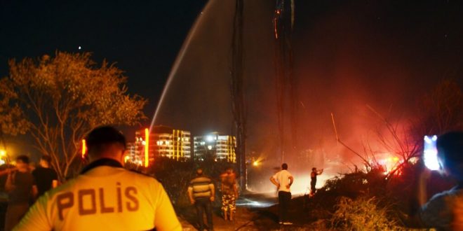 Aydın'da otluk alanda çıkan yangın vatandaşların da desteğiyle söndürüldü