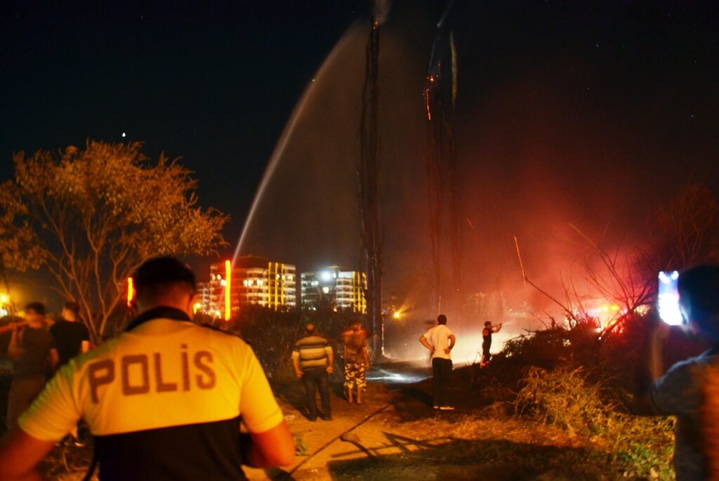 Aydın'da otluk alanda çıkan yangın vatandaşların da desteğiyle söndürüldü