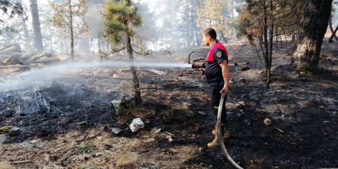 Aydın'daki orman yangınına havadan ve karadan müdahale ediliyor