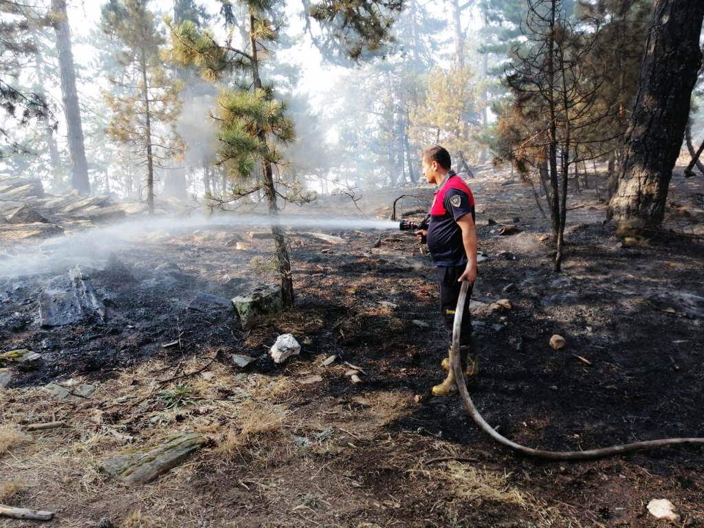 Aydın'daki orman yangınına havadan ve karadan müdahale ediliyor