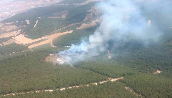 İzmir'in Aliağa ilçesinde ormanlık alanda yangın çıktı