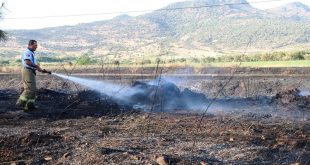 İzmir'in Dikili ilçesinde makilik alanda çıkan yangın söndürüldü