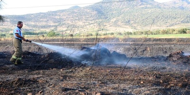 İzmir'in Dikili ilçesinde makilik alanda çıkan yangın söndürüldü