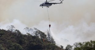 Marmaris ile Köyceğiz'deki orman yangınlarına havadan müdahale yeniden başladı
