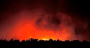 Muğla'da yangının tehdit ettiği bir yerleşim yeri tahliye edildi
