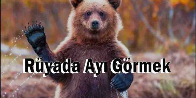 Rüyada Ayı Görmek