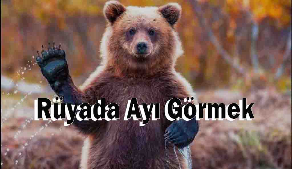 Rüyada Ayı Görmek