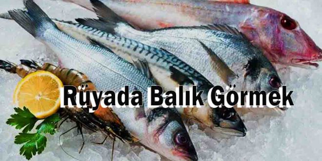Rüyada Balık Görmek