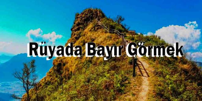 Rüyada Bayır Görmek