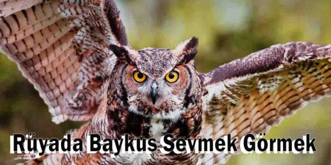 Rüyada Baykuş Sevmek Görmek