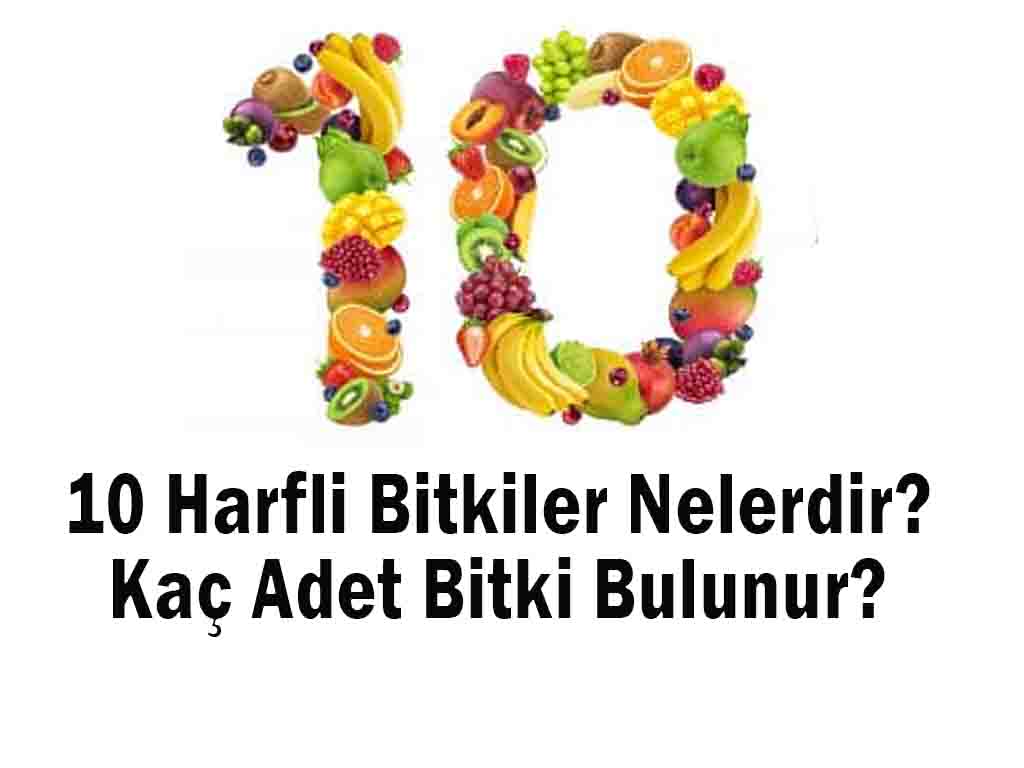 10 Harfli Bitkiler Nelerdir? Kaç Adet Bitki Bulunur?