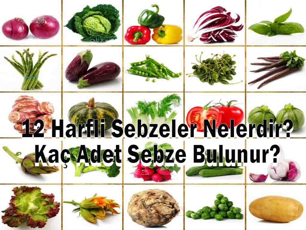 12 Harfli Sebzeler Nelerdir? Kaç Adet Sebze Bulunur?