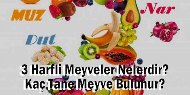3 Harfli Meyveler Nelerdir? Kaç Tane Meyve Bulunur?
