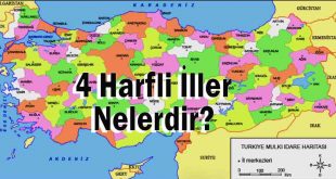 4 harfli İller nelerdir?