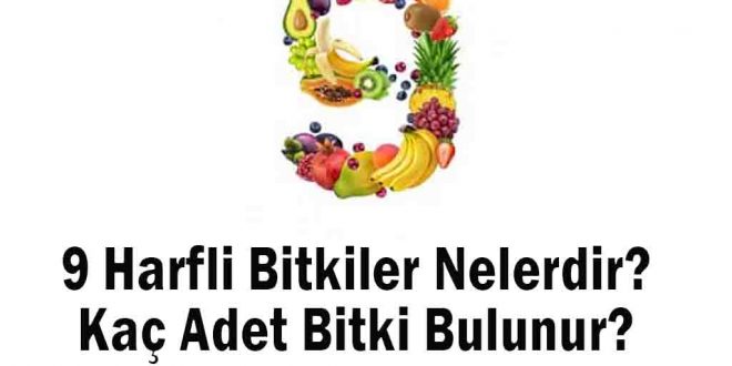 9 Harfli Bitkiler Nelerdir? Kaç Adet Bitki Bulunur?