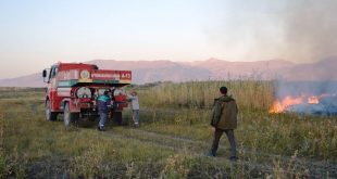 Afyonkarahisar'da sazlık alanda çıkan yangın söndürüldü