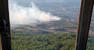 İzmir'in Urla ilçesinde ağaçlık alanda yangın çıktı