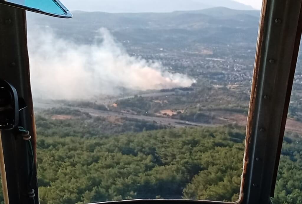 İzmir'in Urla ilçesinde ağaçlık alanda yangın çıktı