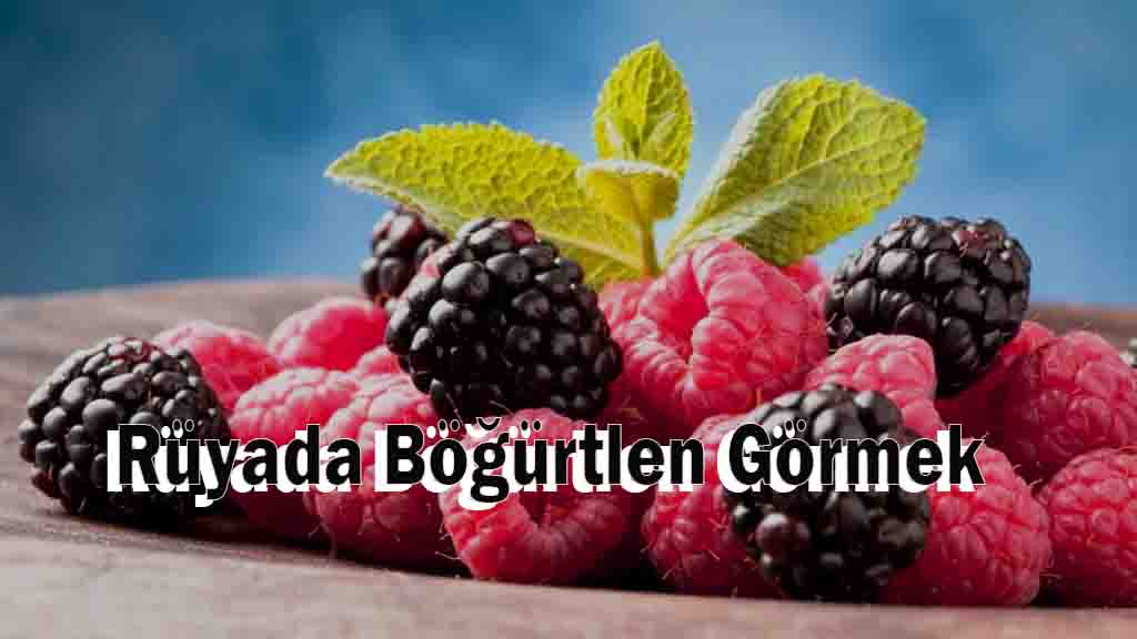 Rüyada Böğürtlen Görmek