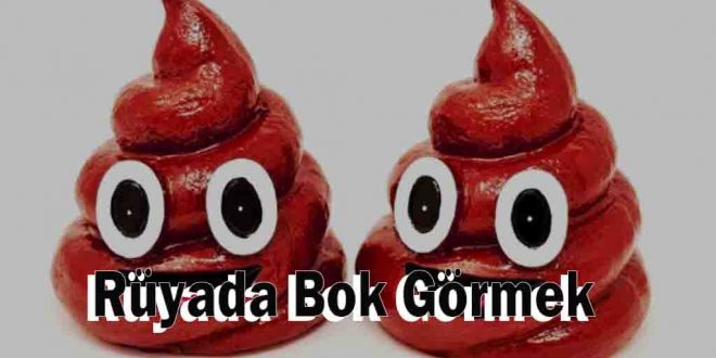 Rüyada Bok Görmek