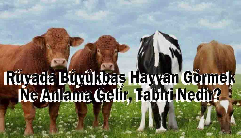 Rüyada Büyükbaş Hayvan Görmek Ne Anlama Gelir, Tabiri Nedir?