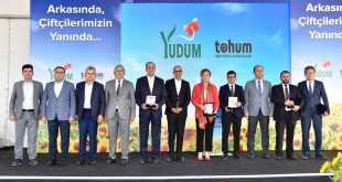 YEREL AYÇİÇEĞİ TOHUMU GELİŞTİRİLMESİNDE DÖNÜM NOKTASI OLAN PROJEDE İLK HASAT YAPILDI