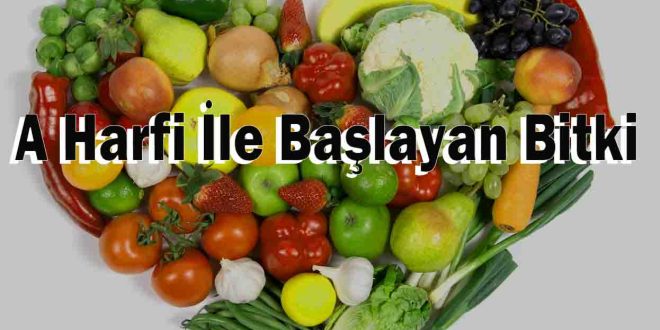 A Harfi İle Başlayan Bitki