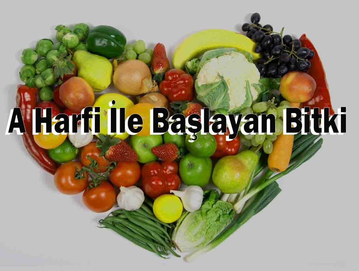 A Harfi İle Başlayan Bitki