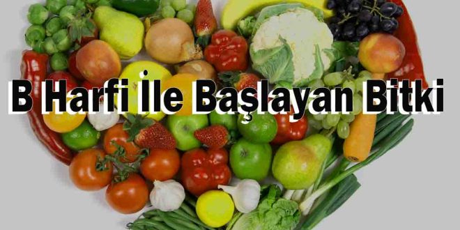 B Harfi İle Başlayan Bitki