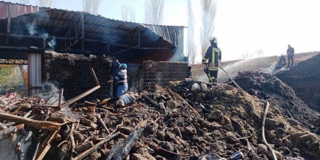 Denizli’de yangın çıkan depoda bulunan köpekleri jandarma kurtardı