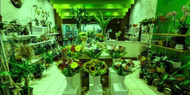 Rüyada Çiçekçi Dükkanı Görmek