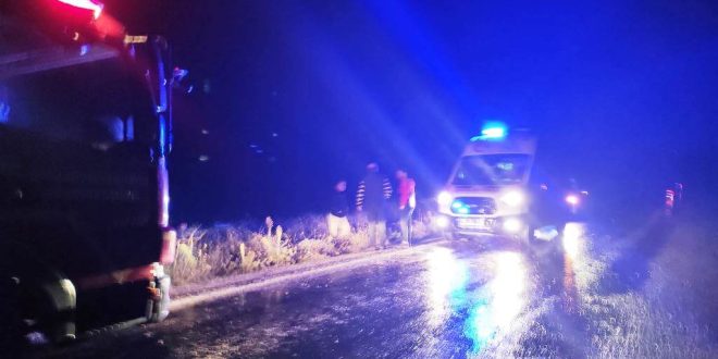 Manisa Demirci ilçesinde kamyonetin şarampole devrilmesiyle 2'si çocuk 3 kişi yaralandı