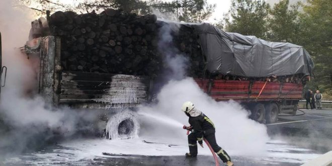 Muğla'da seyir halindeki tomruk yüklü tırda çıkan yangın hasara yol açtı