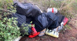 Muğla'da uyuşturucu operasyonunda 1,5 ton skunk ele geçirildi