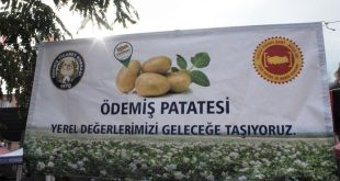 Ödemiş'te Patates Festivali düzenlendi