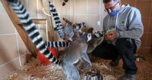 İzmir Doğal Yaşam Parkı'ndaki tropik hayvanlara özel bakım