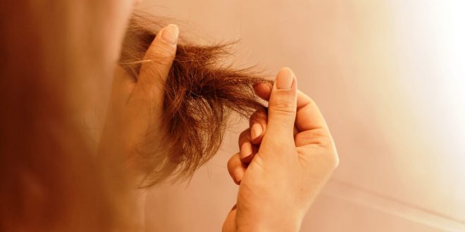 Kuru ve Yıpranmış Saç Bakımı Nasıl Olmalı?